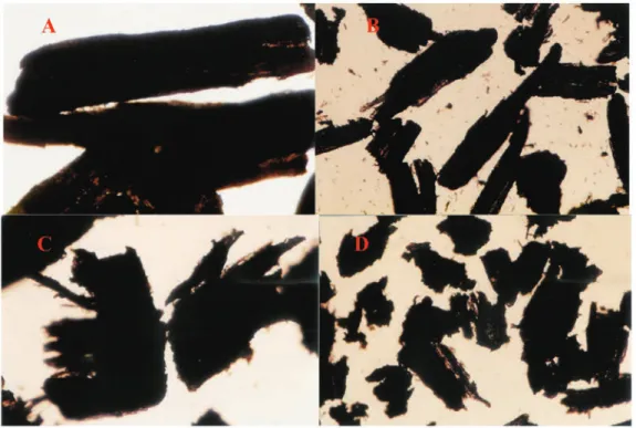 Figure 1. Micrographs of different wood particles; A. ground shaving at 20 mesh, B. ground  shaving at 60 mesh, C