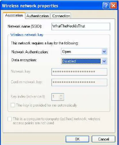 Figure 2 – Wireless Network Properties Screen 