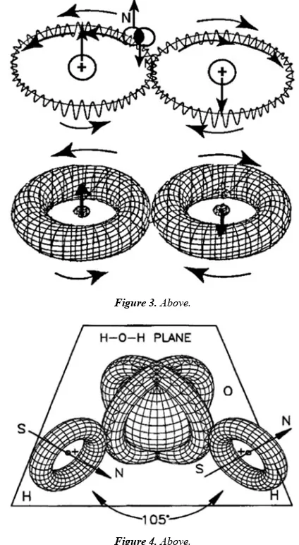 Figure 3. Above. 