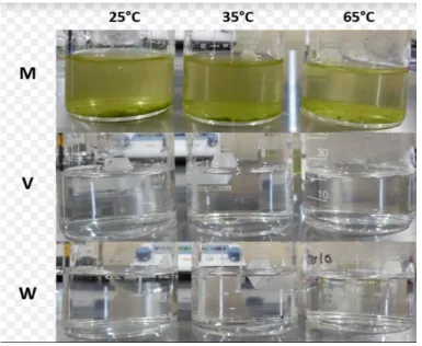 Figure 2: Solubility tests of Steviol and Water. 