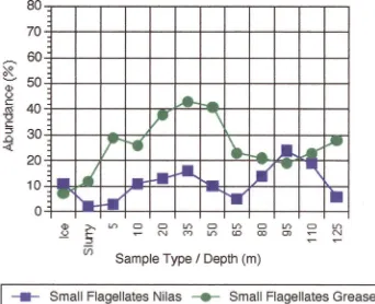 Figure 3.4 Fragiliaropsis cylindrus distribution at Nilas and Grease ice sample sites