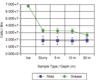 Fig 3.9 Distribution of bacteria cells from nilas and grease ice sites. The ice sample for the nilas site was not determined