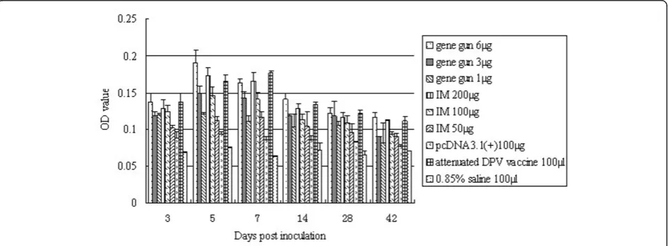 Figure 1 Lymphoproliferation assay. Proliferative responses were measured by MTT incorporation assessed as the OD at 570 nm