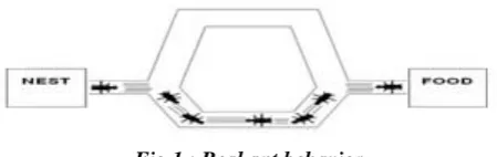 Fig 1 : Real ant behavior 