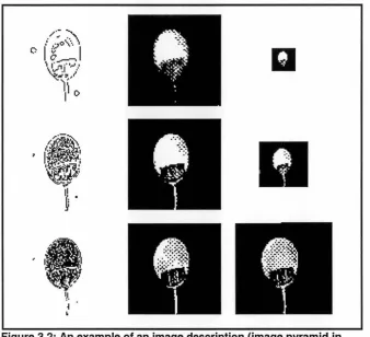 Figure 3.2: An example of an image description (image pyramid in first and third columns) derived from increasingly 
