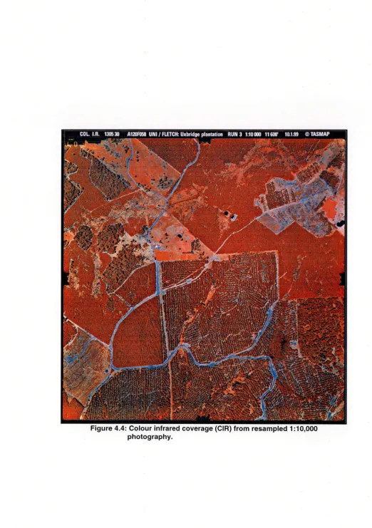 Figure 4.4: Colour infrared coverage (CIR) from resampled 1:10,000 photography. 