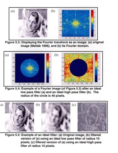 Figure 5.3: Displaying the Fourier transform as an image: (a) original image (Matlab 1998), and {b) its Fourier domain