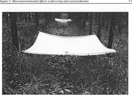 Figure 2.1 Litter traps constructed from knitted nylon mesh suspended from steel droppers designed collect flower parts as they fall from the canopy