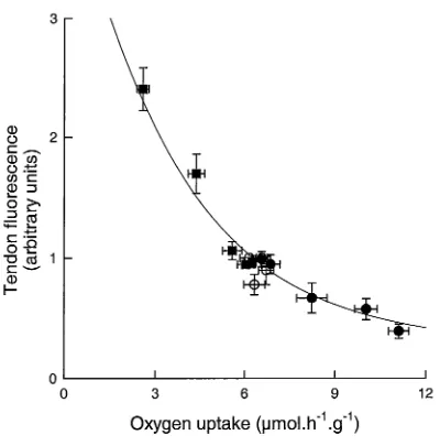 Figure 1-3 Relationship between muscle tendon vessel flow and oxygen uptake 