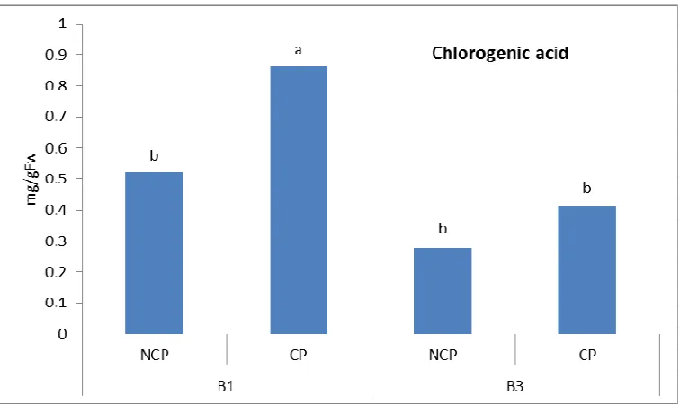 Figure 2b:  NCP= Non contaminated plant, CP=Contaminated plant. (B1= each 3days of irrigation, B3= each 12 days of irrigation) 