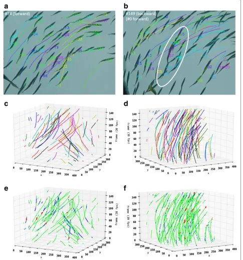 Fig. 5 a Snapshots of tracking results in scene B obtained using our method. The fish parameters of nine occluded fish in the white oval inand bending ( b can beestimated