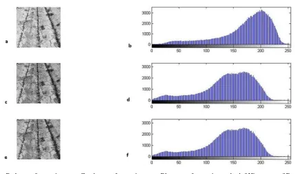 Figure 3. a. Red part of space image c. Greeb part of soace image e. Blue part of space image b, d, f Histogram of R, G and B parts 