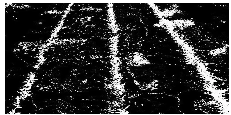 Figure 4. a. Converted image by greeness conversion b. Greeness image histogram 