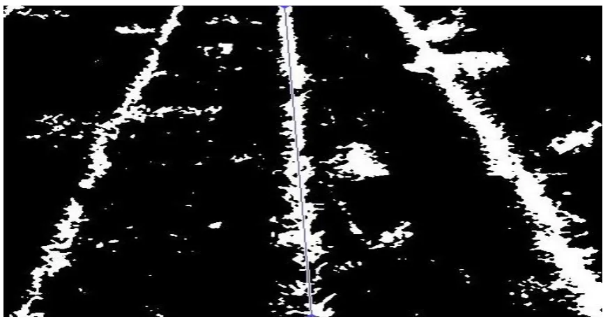 Figure 6. Filtered images and improved image 