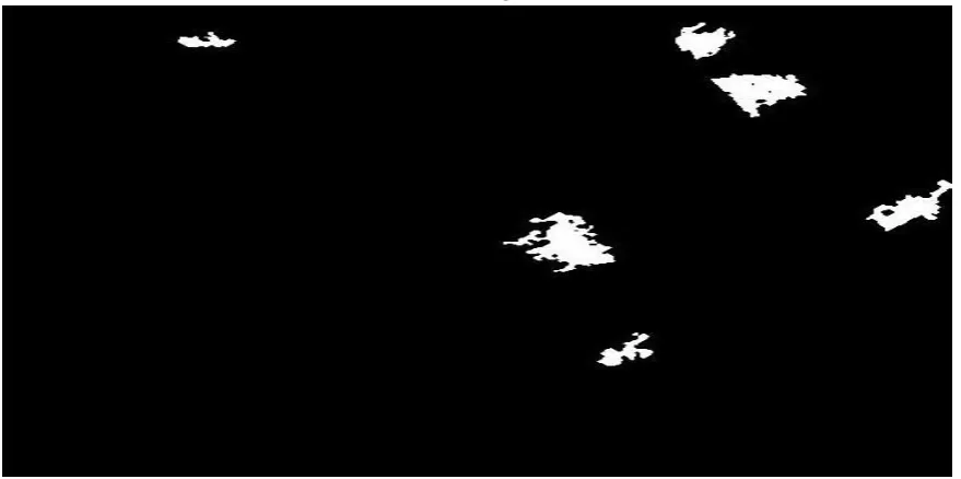 Figure 9. image after omitting small spots 
