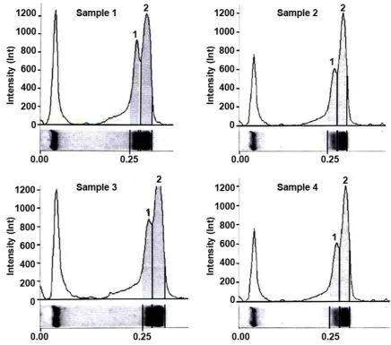 Figure 3: Gel electrophoresis peak profile for sample 1–4 analysed using Gel Doc EZ Imager and Image Lab Software 3.0 (Bio-Rad Laboratories Inc.).