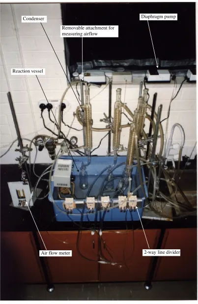 Figure 2-3:  Melanin synthesis apparatus. 