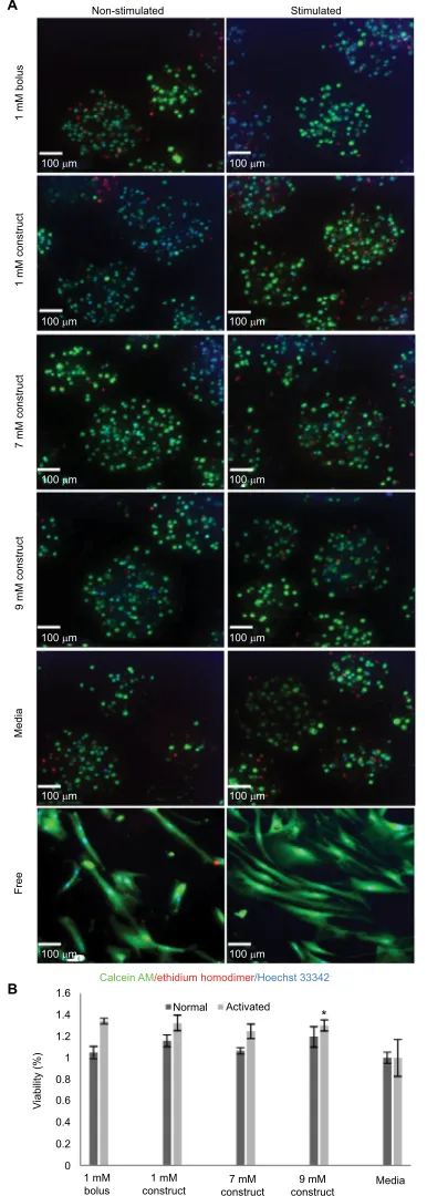 Figure 4 effects of increased bupivacaine concentration formulations on eMsc from eMsc treated for 96 hours with 1 mM of bolus, or 1, 7, or 9 mM construct-bupivacaine or untreated free Msc controls