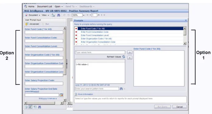 Figure 6: Options for Executing a Report 