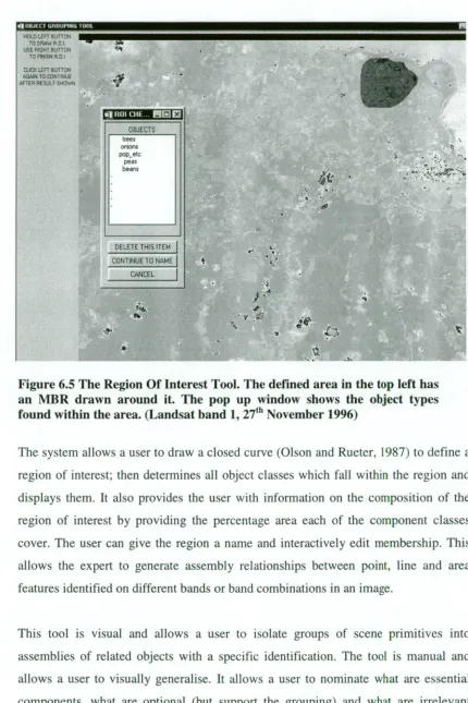 Figure 6.5 The Region Of Interest Tool. The defined area in the top left has an MBR drawn around it