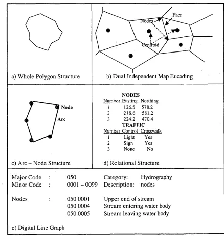 Figure 3.2 Types of vector representations 