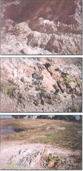 Fig. 3.3 a) Volcaniclastic siltstone, with individual beds pinching out laterally. Note the variation in foldplunge (Site 102: 699169mE 6291033mN).