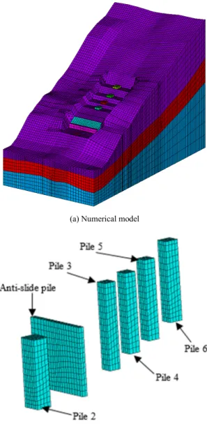 Figure 2. Schematic diagram of model mesh. 