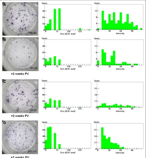 Figure 8 Differential IFN-γ productivity after Cap protein PCV2 vaccination. Comparison of two representative samples of PCV2-vaccinatedpigs characterized by higher (A) and lower (B) PCV2-specific IFN-γ productivity per cell, that is larger and smaller spo