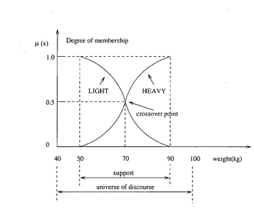 Fig. 3.1 Fuzzy variable "weight" 