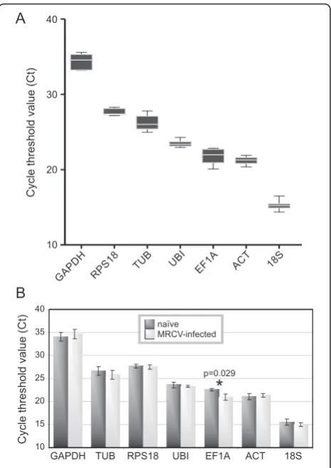 Figure 3A, the Ct values of the candidate genes were