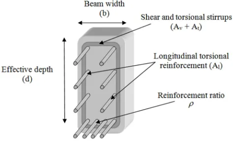 Figure 1. Reinforced concrete beams design variables. 