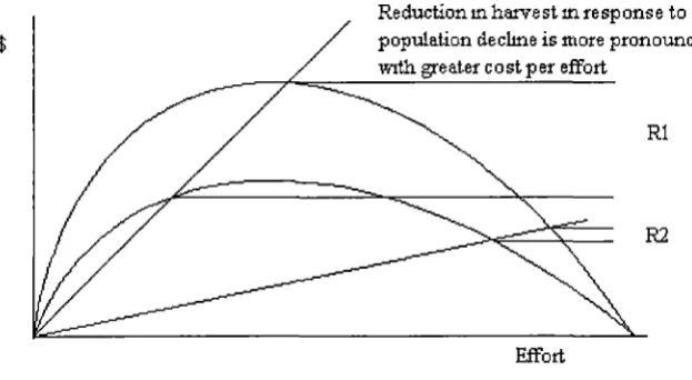 Figure 5.6 Sensitivity of effort to stock fluctuations. 
