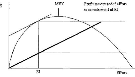 Figure 5.7 Maximising Resource Rent 