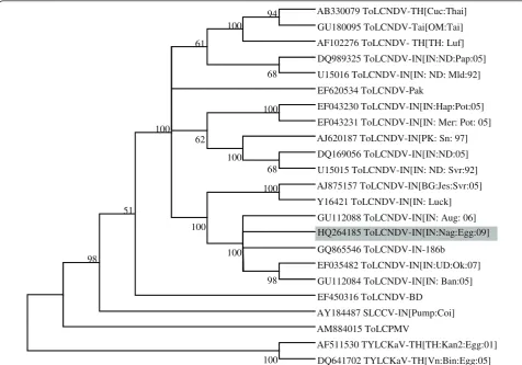 Figure 2 Phylogenetic tree of complete DNA-A of ToLCNDV-IN[IN: Nag: Egg: 09]. The phylogenetic tree was constructed with distance/neighbour-joining method with 1000 bootstrap replications and viewed with the help of MacVector suite program 10.5 (Mac Vector Inc, USA).