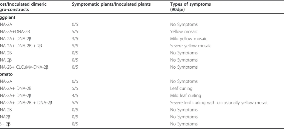 Figure 3 Phylogenetic tree of complete DNA-B of ToLCNDV-IN[IN:Nag:Egg:09]. The phylogenetic tree was constructed with distance/neighbour-joining method with 1000 bootstrap replications and viewed with the help of MacVector suite program 10.5 (Mac Vector Inc, USA).