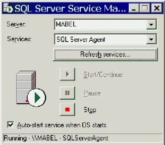 Figure 1. Configuring SQL Server Agent to start when Windows starts up. 