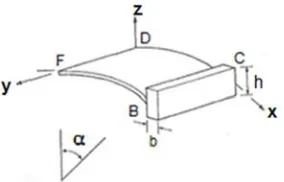 Figure 11. Shell roof stiffened with vertical beam.