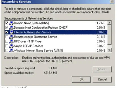 fig 1: install IAS