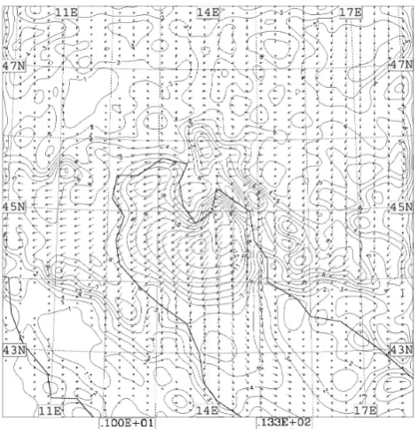 Fig. 11. Speed (m/s) and direction of the 10 m wind at 10:00 UTC25 June 2002 simulated by the ﬁne grid run (run C)
