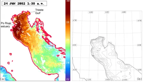 Fig. 2. (a) MCSSTs (◦C) at 01:30 UTC 24 June 2002; (b) differences between MCSSTs and ECSSTs interpolated to the ﬁne grid