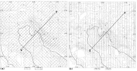 Fig. 4. Speed (m/s) and direction of the 10 m wind at 10:00 UTC 25 June 2002:is a portion of the integration domain;Contour line step is 1 m/s