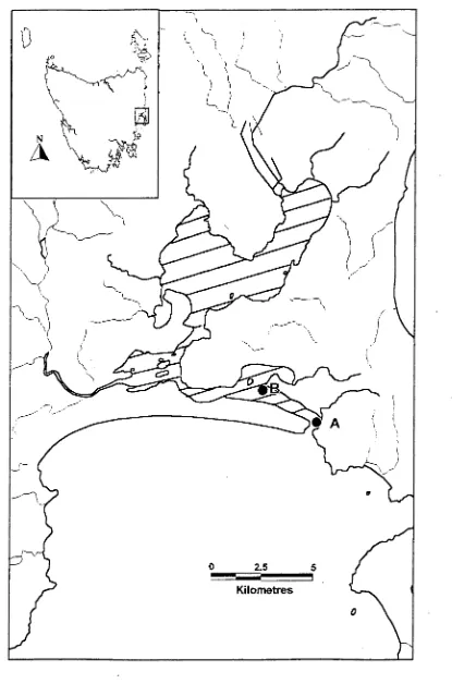 Figure 2.1: Map of Moulting Lagoon, Tasmania, Australia. Juvenile collection 