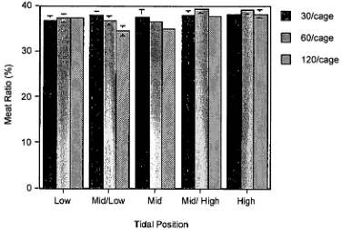 Figure 2.6: Recruitment of juvenile K scalarina to experimental treatments (n=27). Each column represents the total number of recruits at the corresponding density and tidal position