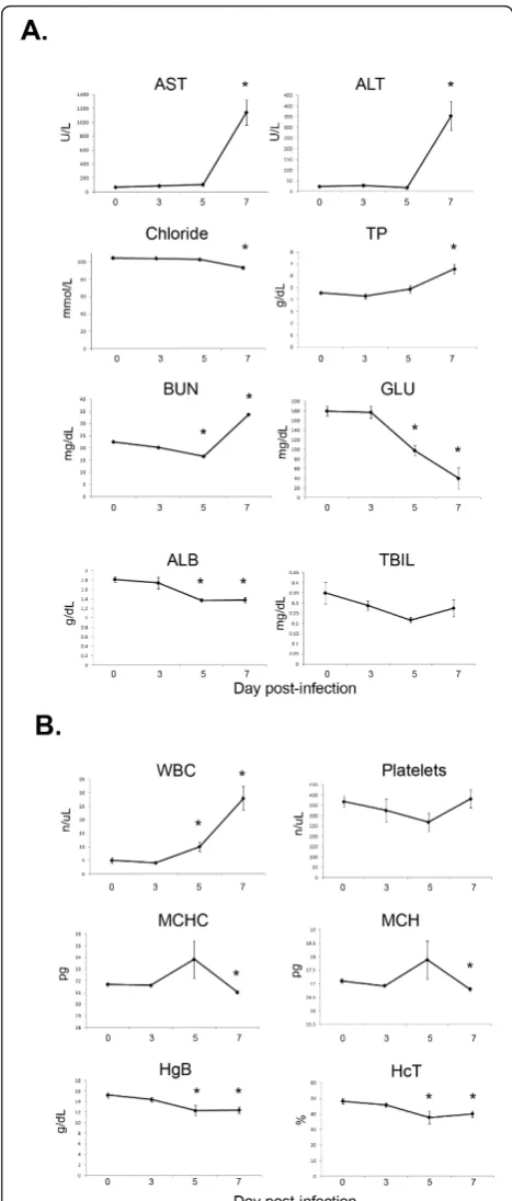 Figure 1 Wild-type MACV is lethal in STAT-1 knockout mice. A)STAT-1 knockout mice were infected with 1000 pfu MACV via theintraperitoneal (n = 6), subcutaneous (n = 6), or intranasal route (n= 4) and monitored for survival