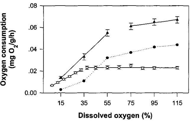 Figure 3.7: The relationship between dissolved oxygen level (%) and oxygen consumption (mean±SE)(mg 0active (A)(n=12) southern rock lobsters, scope for activity (mg 0 2/g/h) of settled (0)(n=15) and Jasus edwardsii