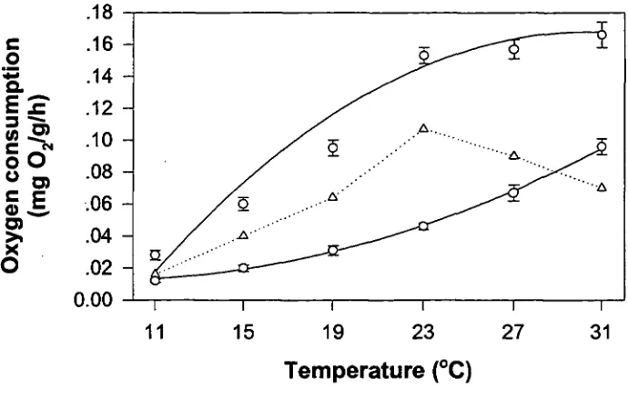 Figure 4.4: The effect of temperature on the standard ( ) and active (o) weight-specific oxygen consumption (mean±SE)(mg 0western rock lobster, activity (mg 02/g/h) of the Panulirus cygnus (n=12)