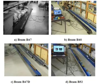 Figure 2. Damage scenarios. 