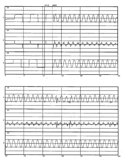 Figure 5. Recording of 60 seconds of eye movements during Baseline EMs task, 