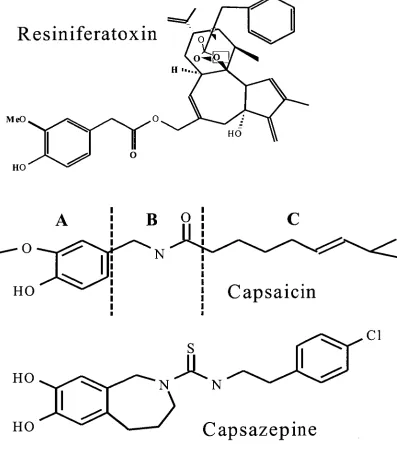 Fig. 1.1. The chemical structures of capsaicin, the ultrapotent analogue resiniferatoxin, and the competitive antagonist capsazepine