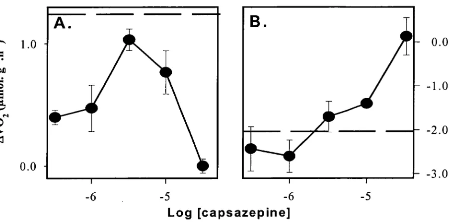 Fig. 2.4. AVO2 response to 5 x 10 -7  M (panel A) and 5 x 1116  M (panel B) capsaicin 